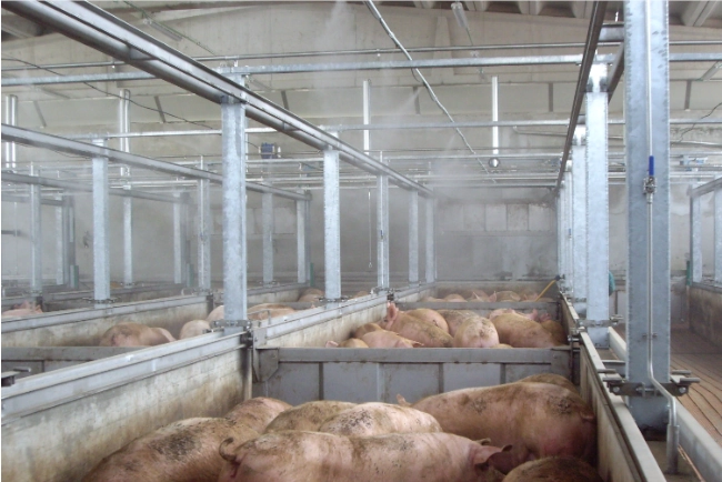 zamglawianie w rolnictwie